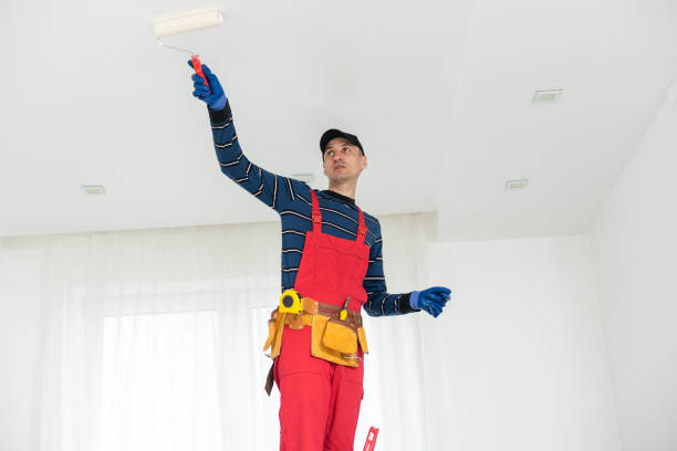 Best Fire-Damaged Drywall Repair  in Clinton, WA